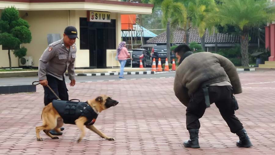 Latihan Unit K-9 untuk menangani pengendalian massa.