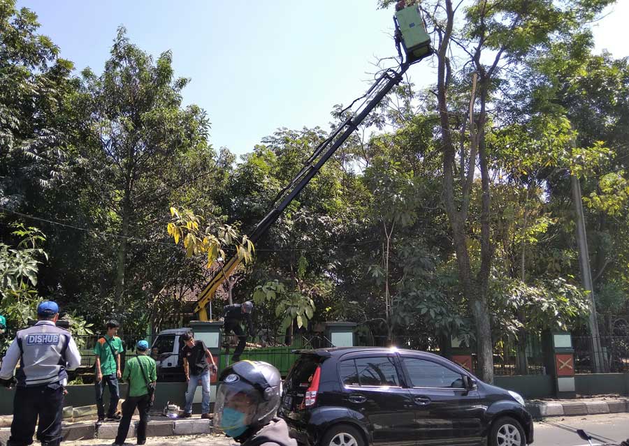 Petugas Tengah Memangkas Pohon Depan Pusdik Armed. Pohon Tersebut akan Ditebang untuk Mendukung Pelebaran Jalan.