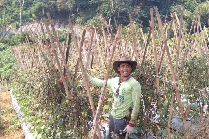 Seorang petani yang mengalami kerugian materil.