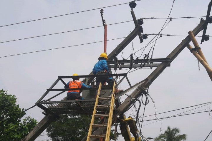 petugas pln saat memperbaiki tiang listrik yang tertimpa pohon tumbang