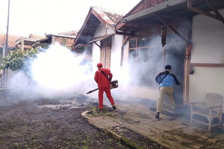 petugas fogging  memberantas pupulasi nyamuk aedes aegypti