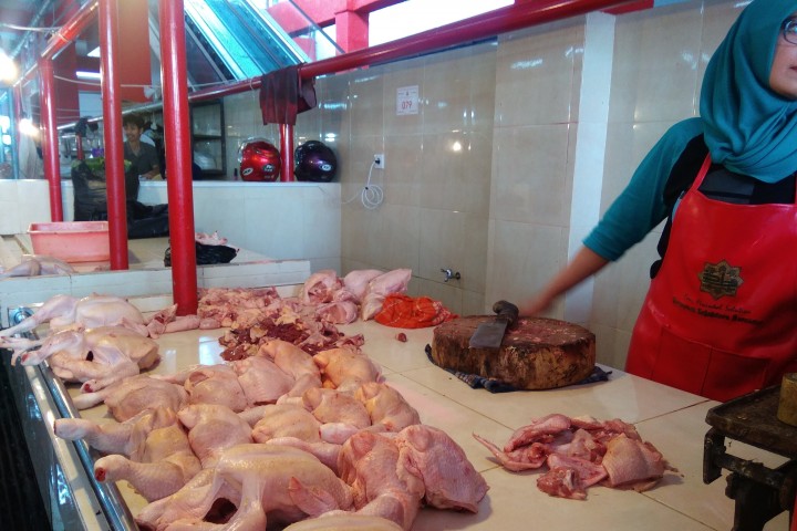 pedagang Ayam  PAB