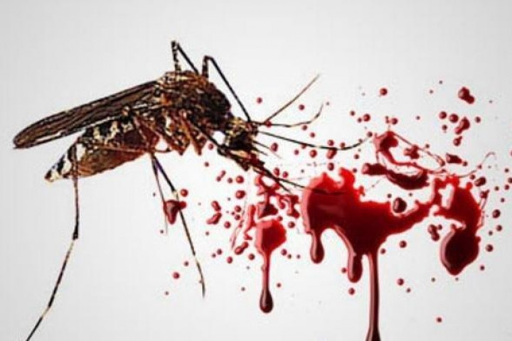 ilustrasi demam berdarah dengue dbd