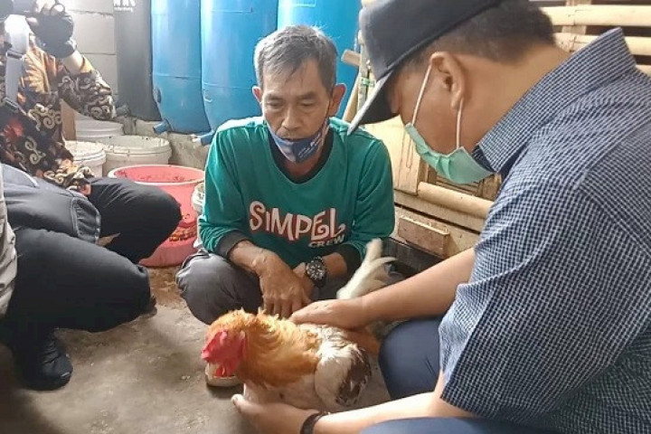 Wali Kota Bandung Oded M Danial mengunjungi tempat peternakan ayan yang dilakukan warga Kelurahan Sukamiskin 