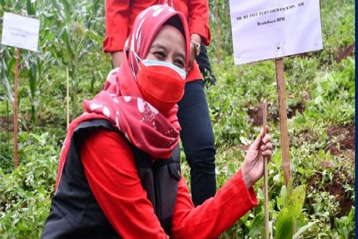 Wakil Ketua DPRD Provinsi Jawa Barat, Hj. Ineu Purwadewi Sundari, menanam pohon di Desa Tegalmanggung Kecamatan Cimanggung Sumedang. 