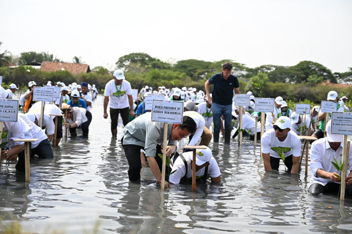 Wapres  Gibran Rakabuming Raka  melakukan penanaman mangrove di Taman Mangrove Ketapang, Kecamatan Mauk, Kabupaten Tangerang, Provinsi Banten, Senin (27/10/2025).