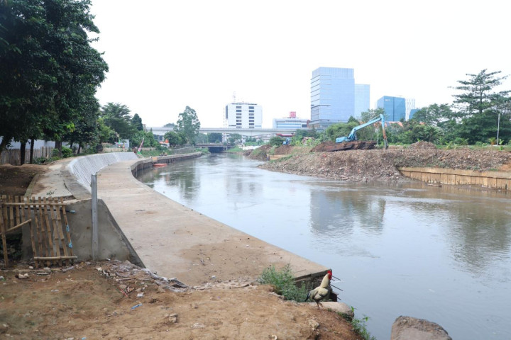 Banjir dan longsor di Wilayah Sungai Ciliwung  kerap terjadi, pemerintah akan melakukan revisi Peraturan Presiden Nomor 60 Tahun 2020 