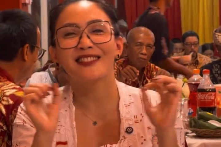 Rieke Diah Pitaloka, Anggota DPR RI
