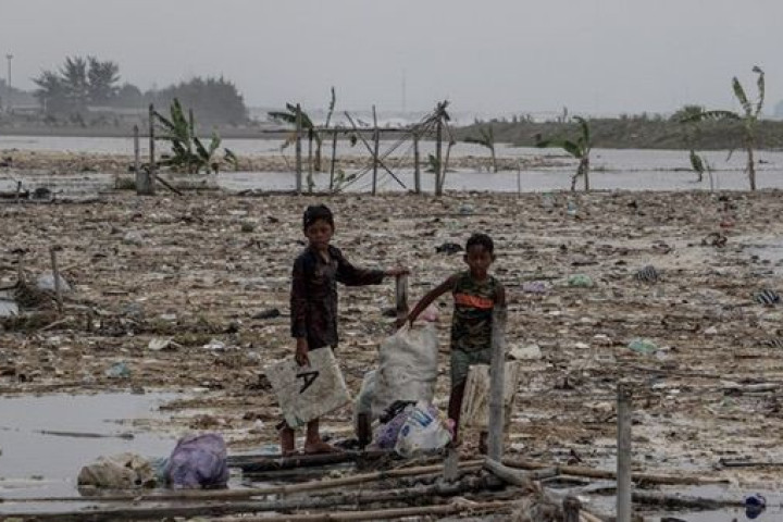 revitalisasi tambak tidak bisa ditunda karena berkaitan langsung dengan keberlangsungan hidup masyarakat pesisir.