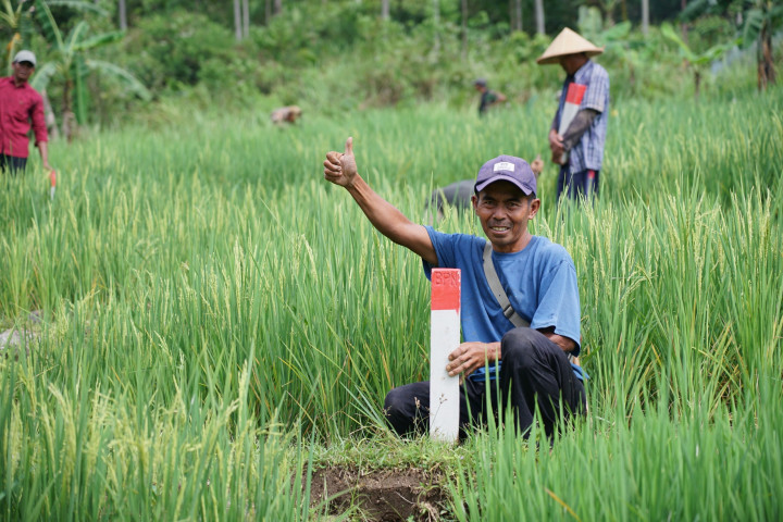 Biar tanah tidak diserobot orang, yang paling penting adalah memastikan batas tanah jelas dan memiliki sertipikat sebagai bukti hukum yang kuat