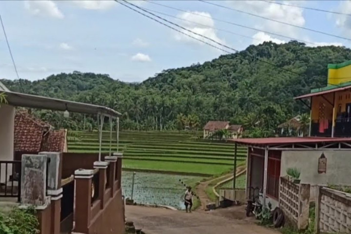 Suasana indah sebuah kampung di Desa Karangnunggal Kecamatan Cibeber Kabupaten Cianjur