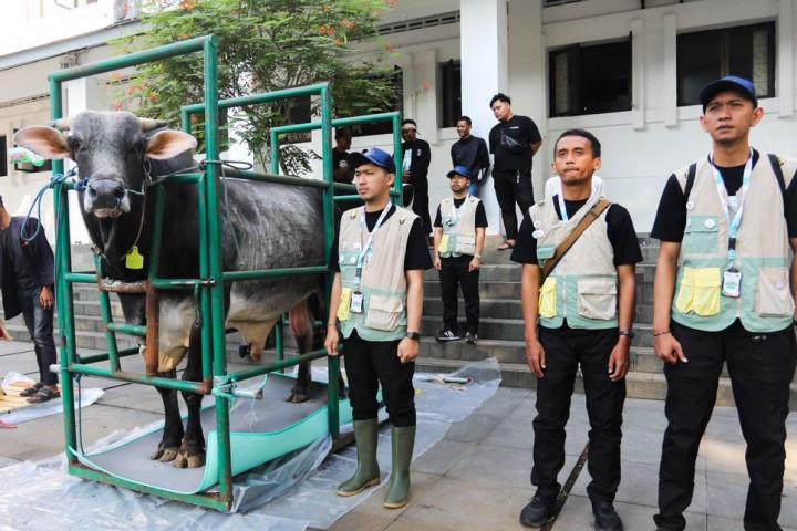 Wali Kota Bandung, Muhammad Farhan menyebutkan  berdasarkan hasil pemeriksaan Dinas Ketahanan Pangan dan Pertanian (DKPP), hewan kurban di Kota Bandung sehat dan layak disembelih.