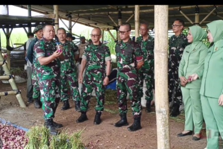 Komandan Pussenarmed Mayjen TNI Dr. Budi Eko Mulyono, S.Sos., M.M., CHRMP., memimpin pelaksanaan panen bawang merah di lahan Ketahanan Pangan Pussenarmed, Batujajar, Rabu (10/06/2026).