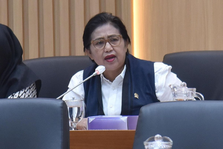 Anggota Komisi IX DPR RI, Irma Suryani